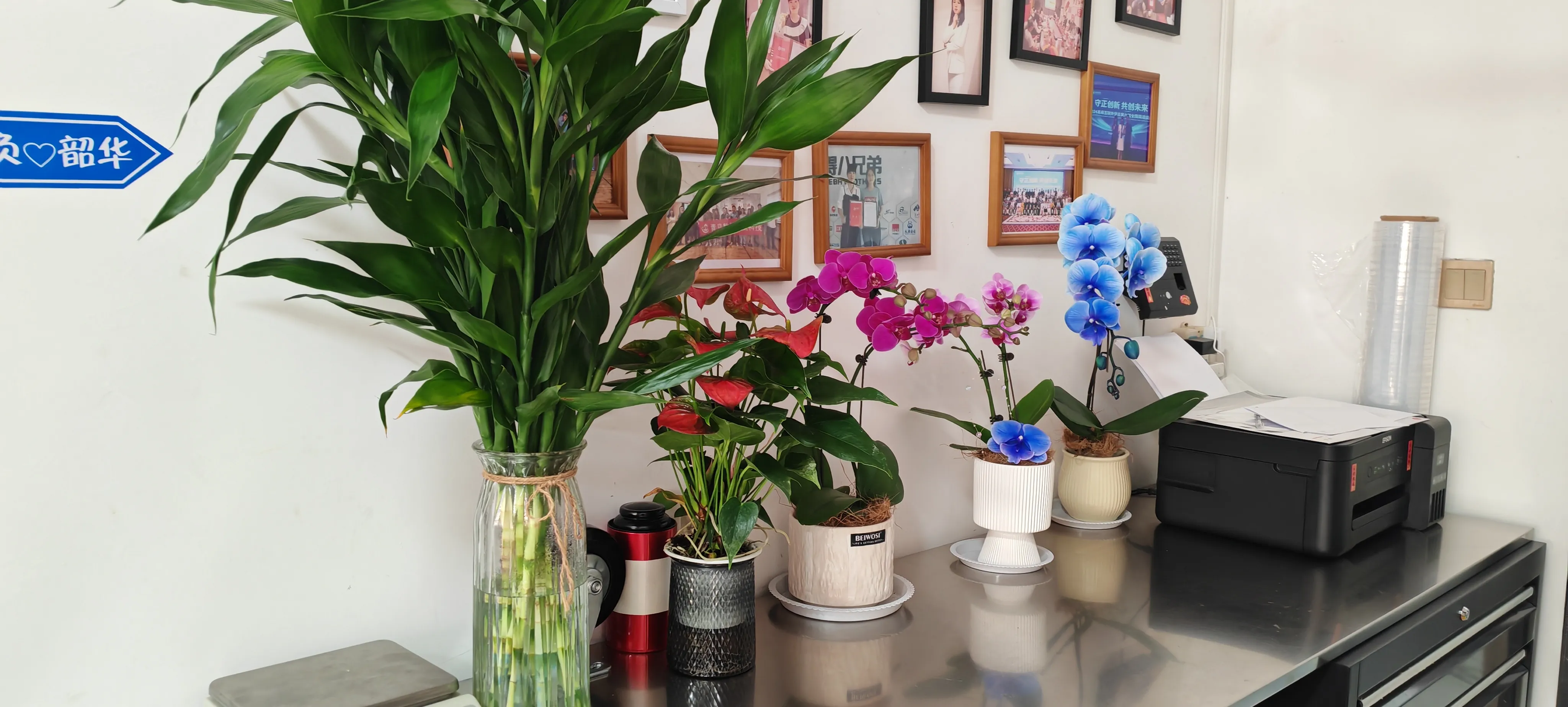 జోజో ప్యాక్ కొత్త స్నేహితులకు స్వాగతం!