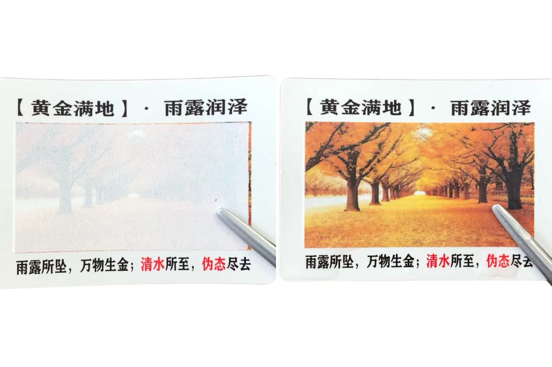 రంగు మార్చే వాటర్ సెన్సిటివ్ లేబుల్స్ మీకు తెలుసా?